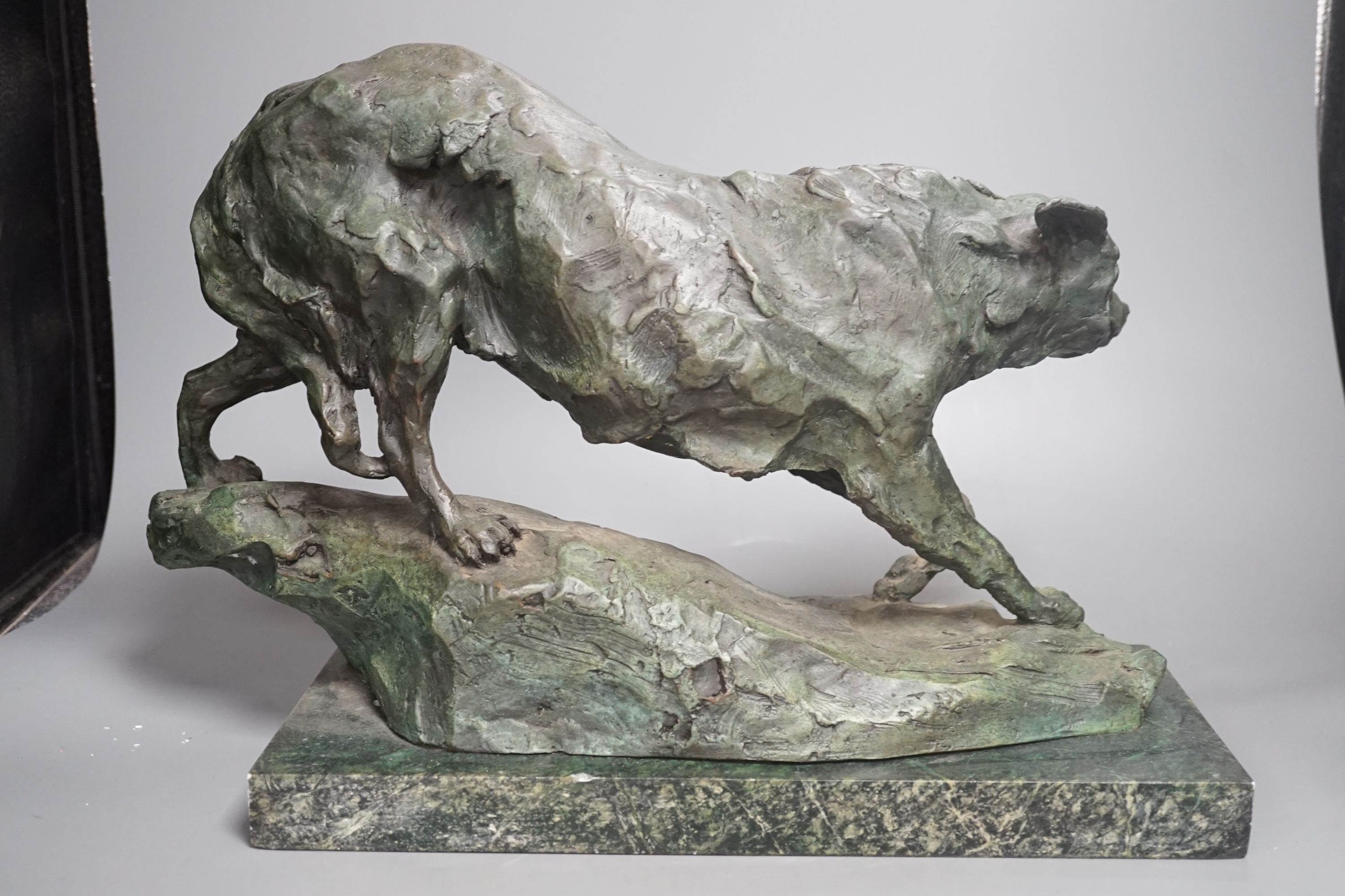 B.C. King, a green patinated bronze of a wolf, 43 cms wide.